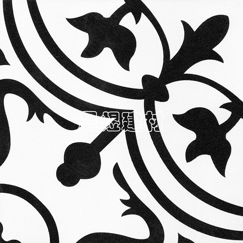 �ڰ�����ϵ��-CY2502��2009��